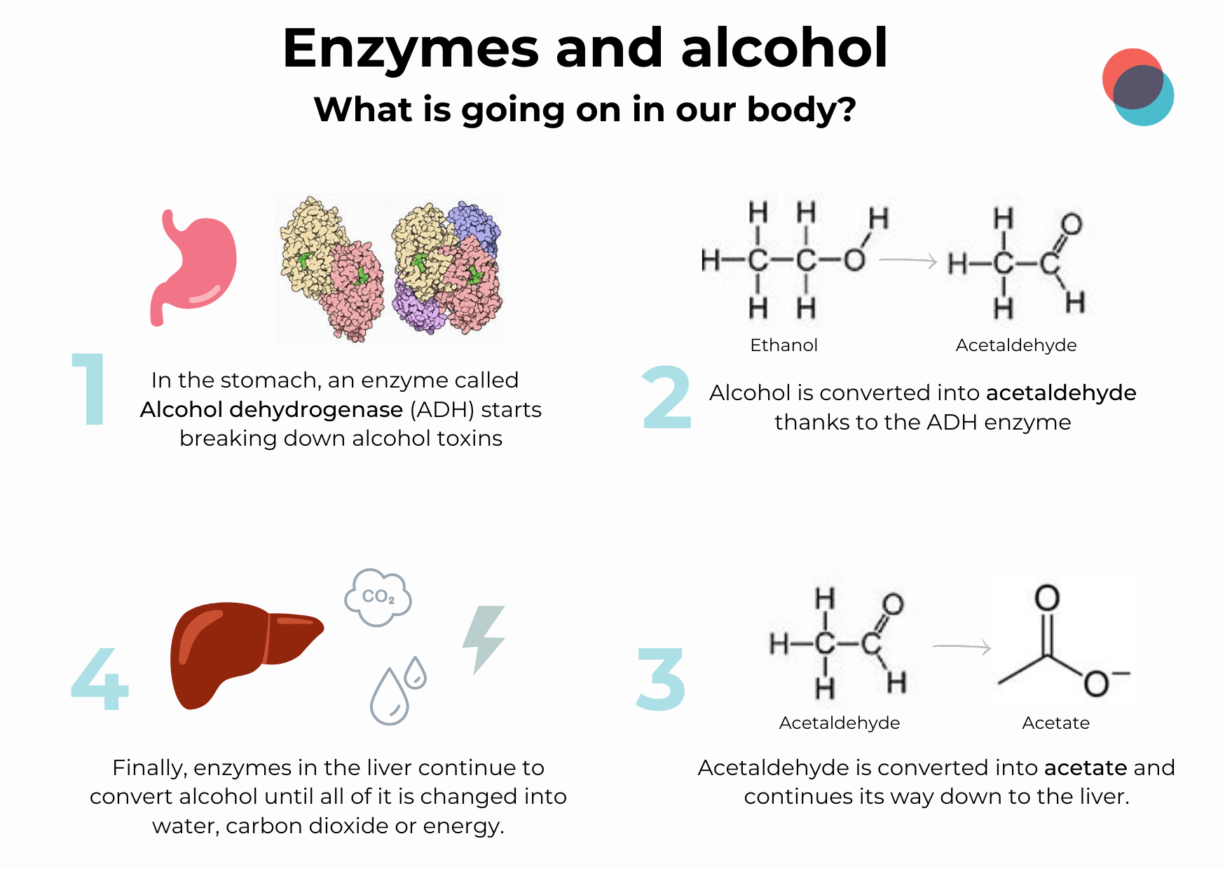 Enzymes & Alcohol Labtoo